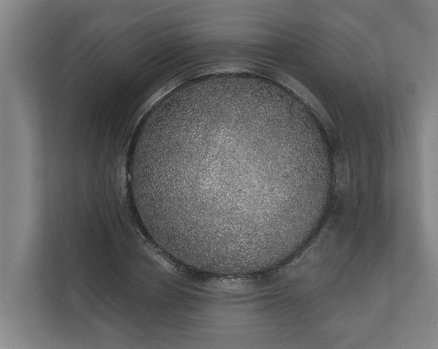 X0000110760834200906221120