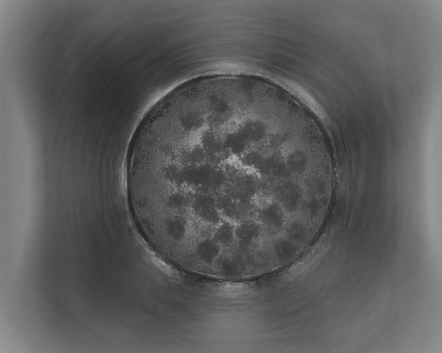 X0000110760839200906221120