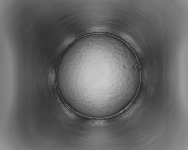 X0000110760841200906221120