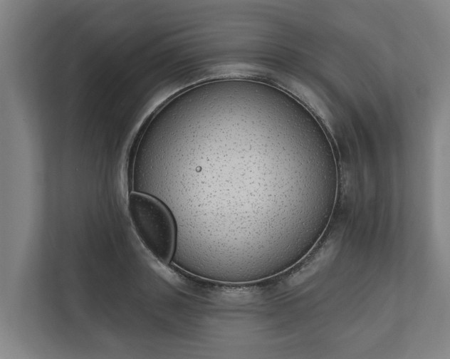 X0000110760843200906221120