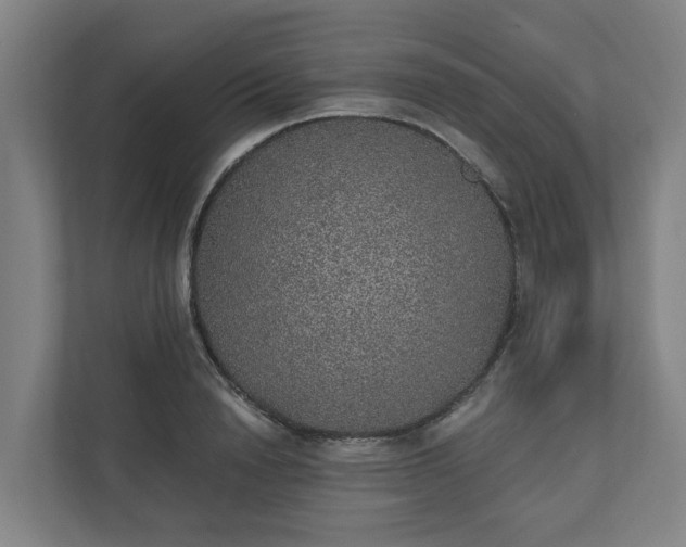 X0000110760846200906221120