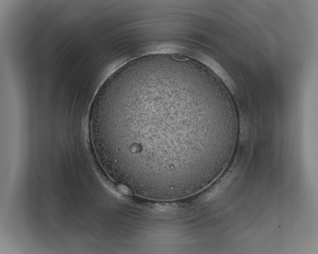 X0000110760850200906221120