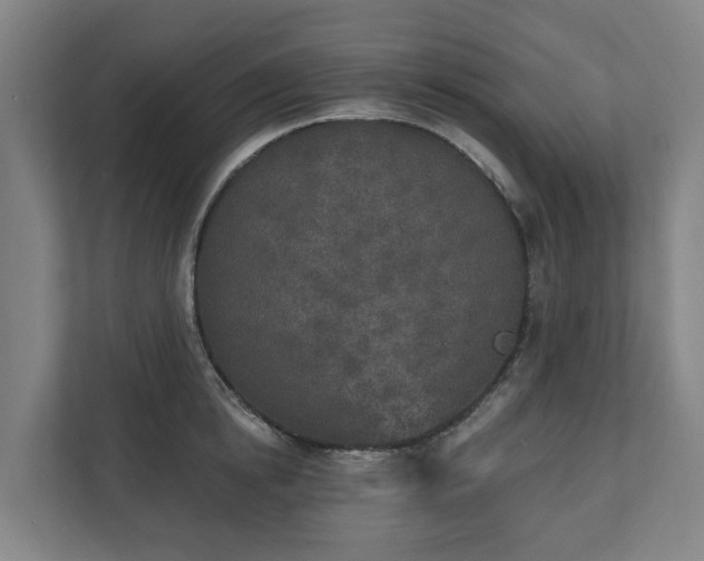 X0000110760854200906221121