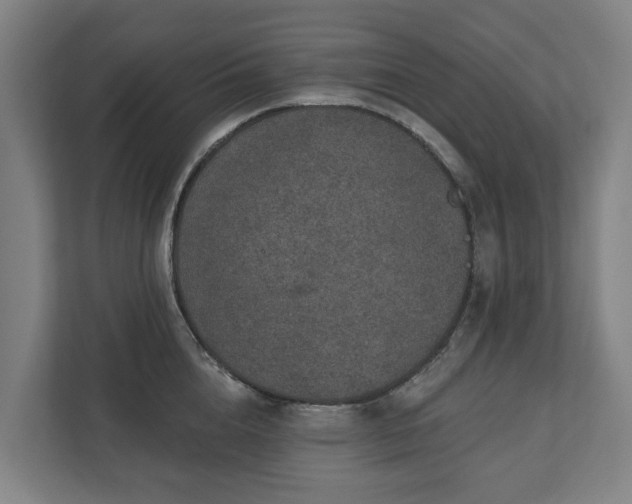 X0000110760856200906221121