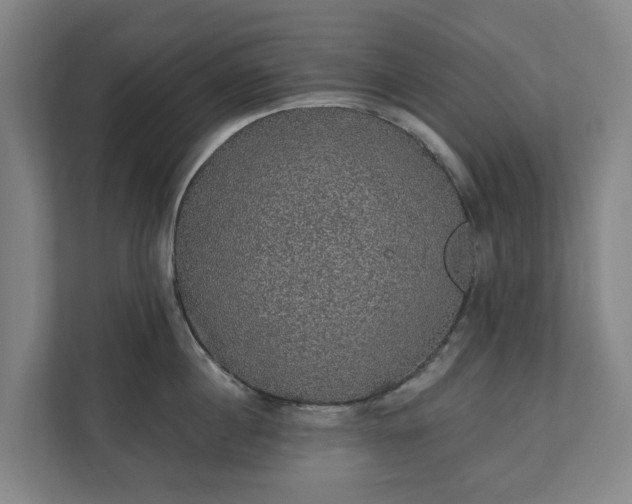 X0000110760860200906221121