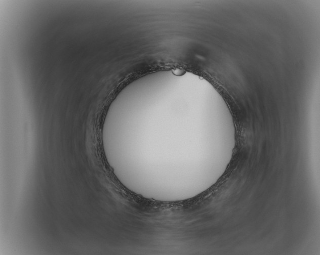 X0000110760865200906221120