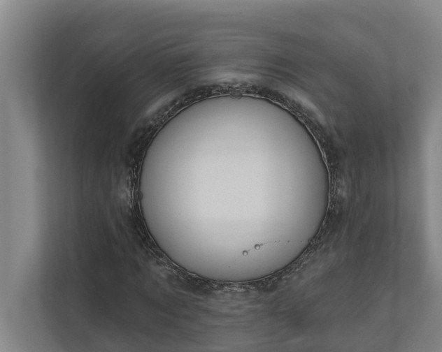 X0000110760869200906221120