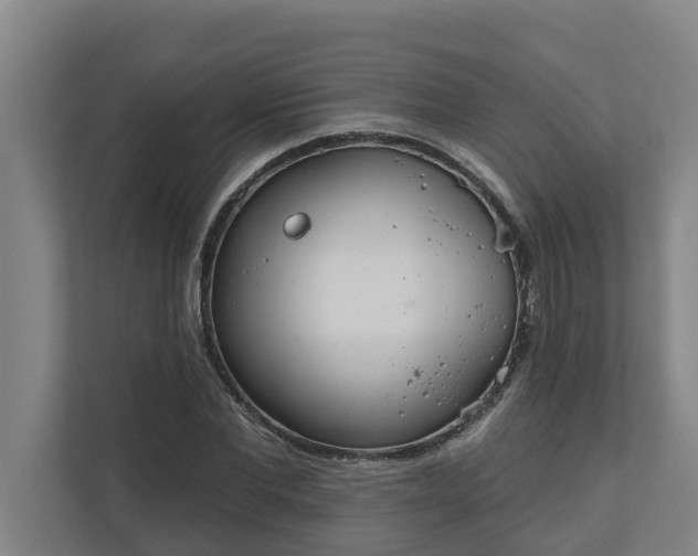 X0000110760877200906221120