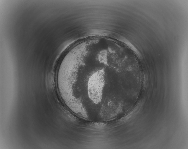X0000110760878200906221120