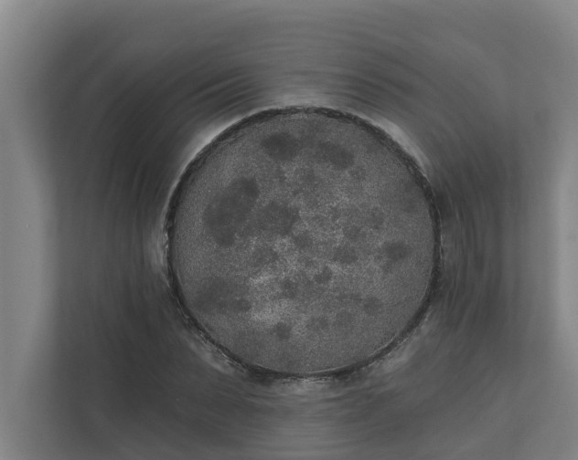 X0000110760879200906221120