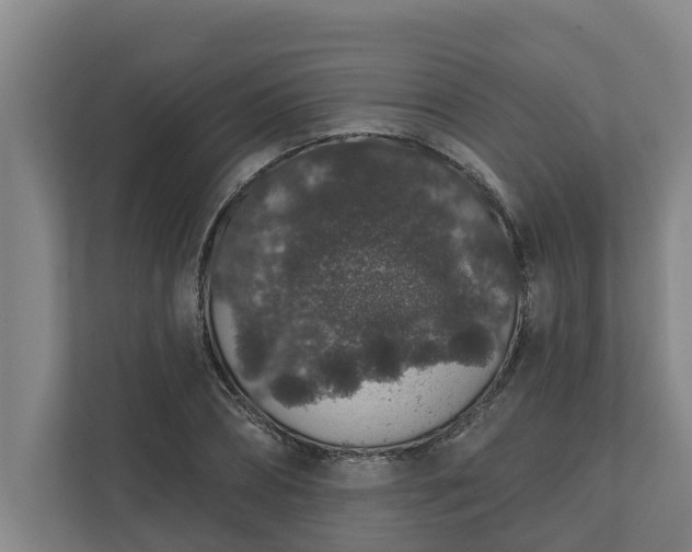 X0000110760882200906221120