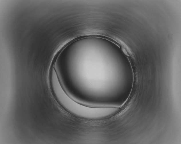 X0000110760885200906221120