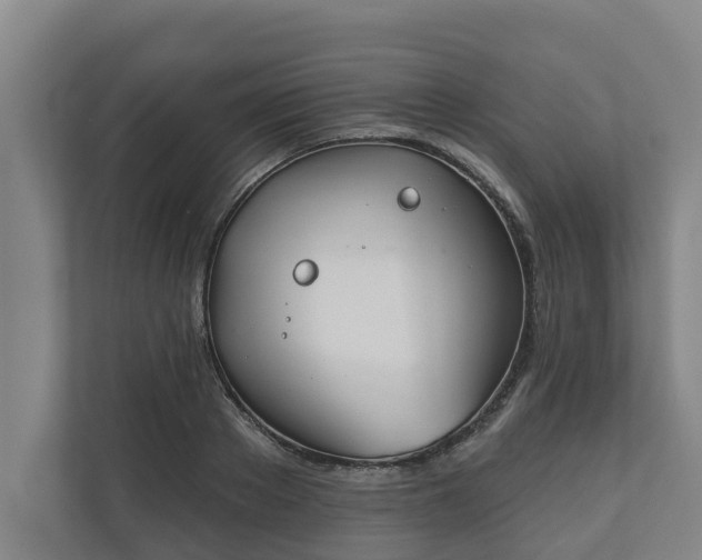 X0000110760889200906221120