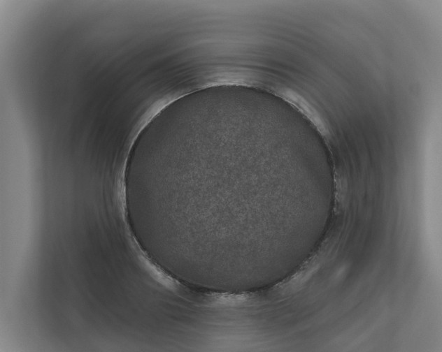 X0000110760890200906221120