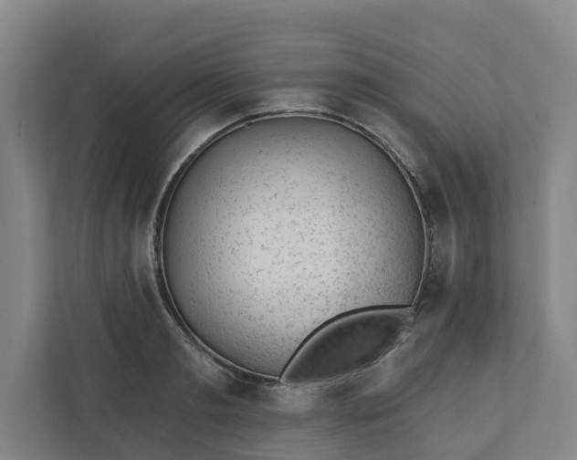 X0000110760893200906221120