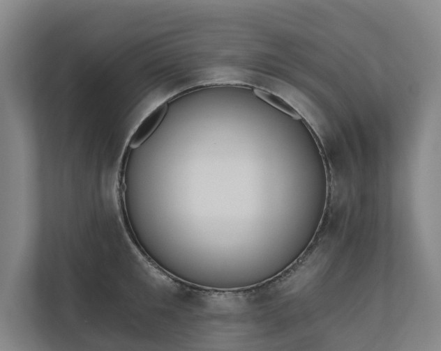 X0000110760901200906221120