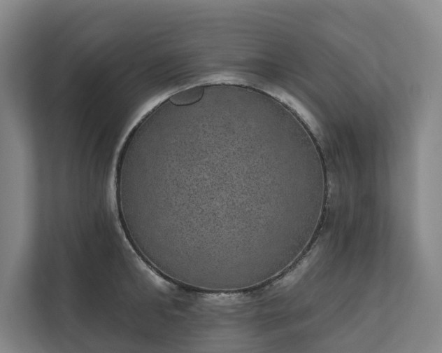 X0000110760902200906221120