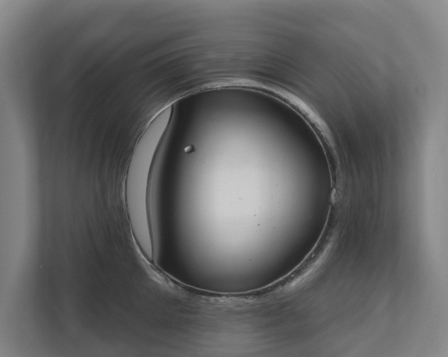 X0000110760905200906221119