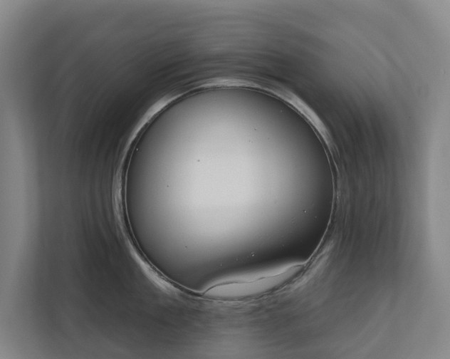 X0000110760909200906221119