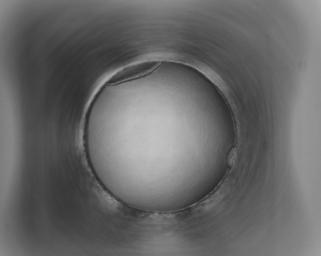 X0000110760912200906221119