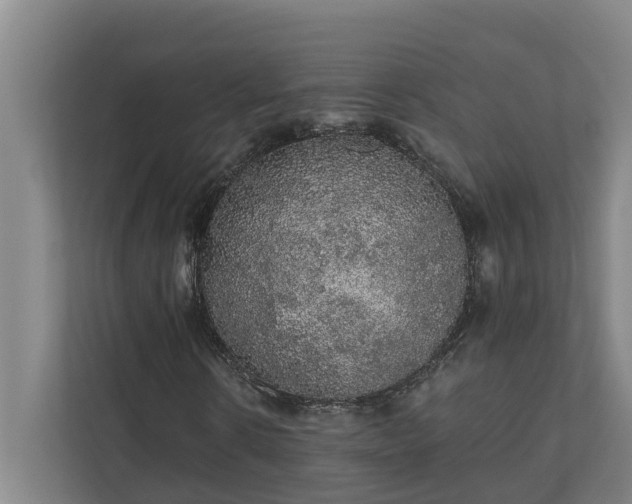 X0000110760914200906221119