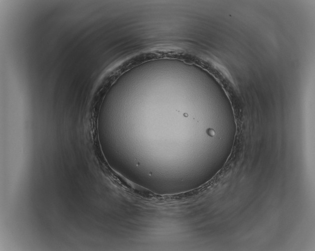 X0000110760920200906221119