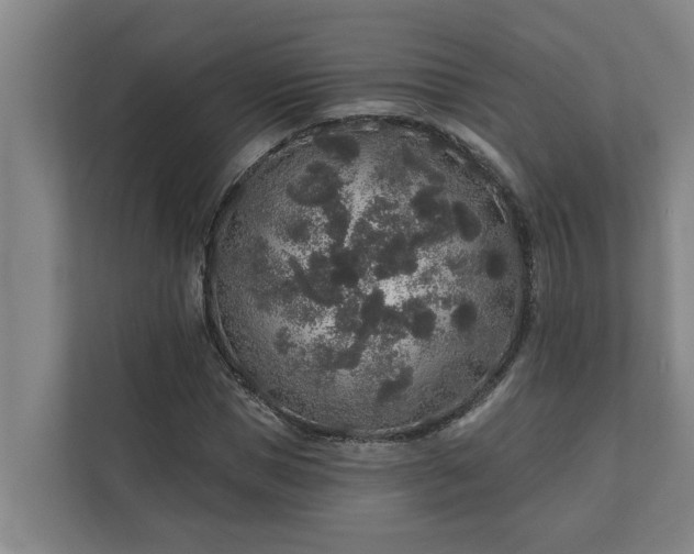 X0000110760921200906221119