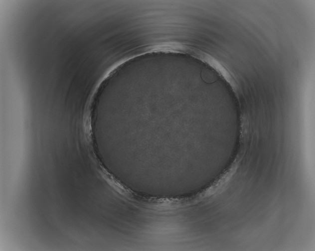 X0000110760923200906221119