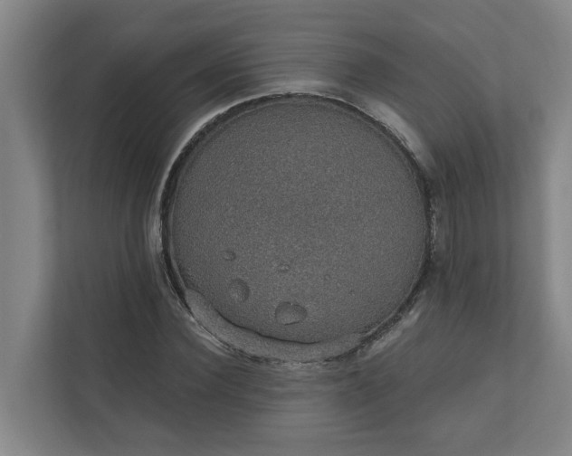 X0000110760924200906221119