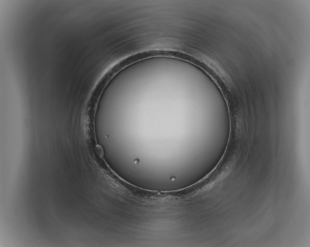 X0000110760926200906221119