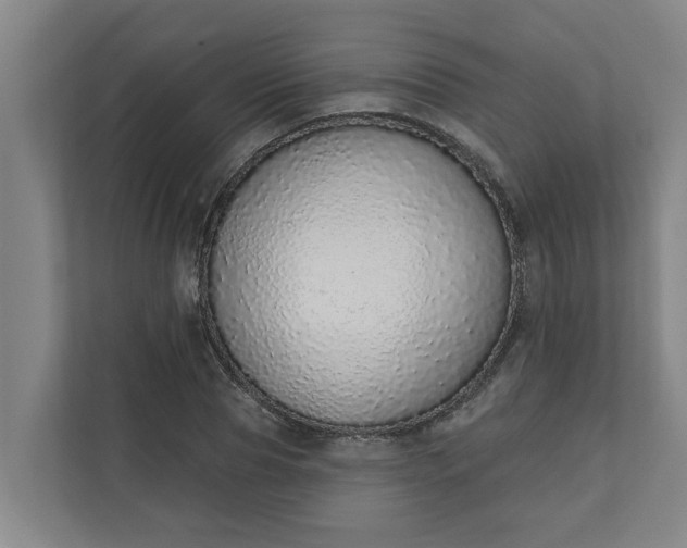 X0000110760929200906221119