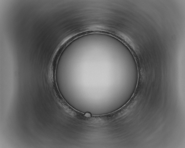 X0000110760931200906221119