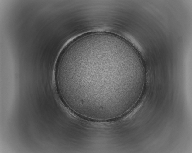 X0000110760932200906221119