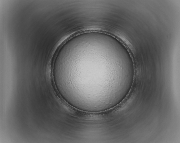 X0000110760933200906221119