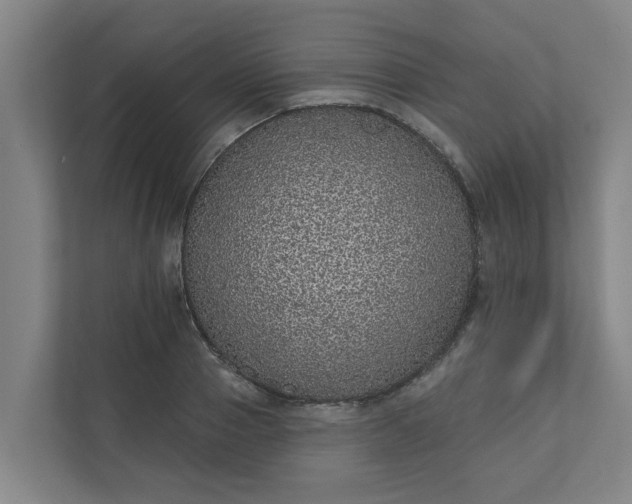 X0000110760937200906221119