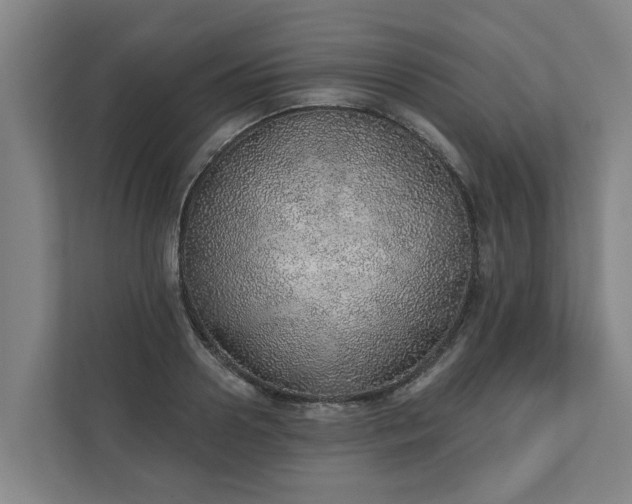 X0000110760938200906221119