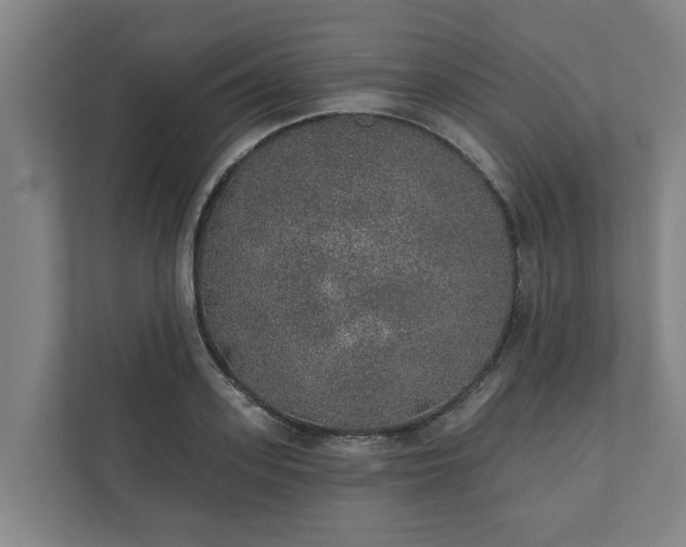 X0000110760939200906221119