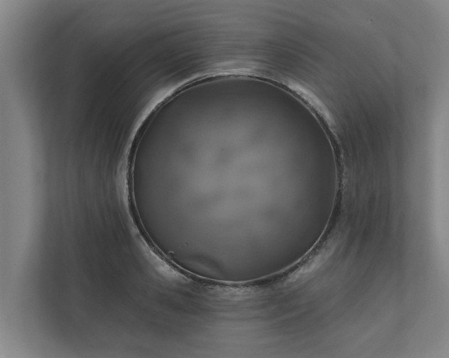 X0000110760941200906221119