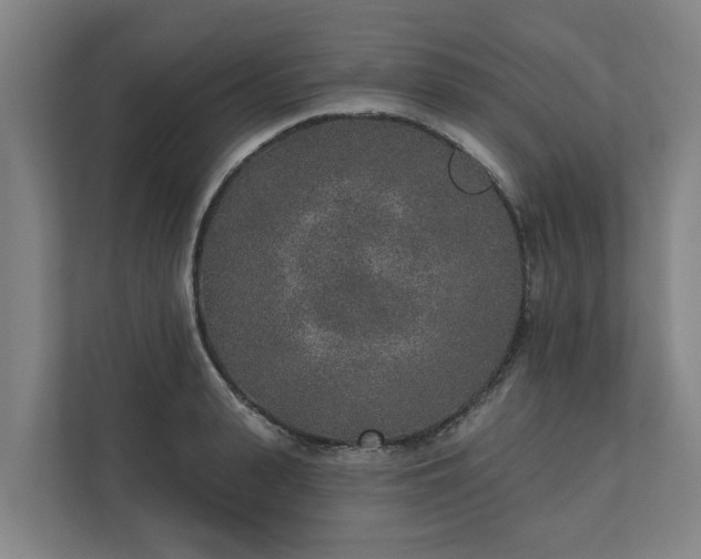 X0000110760943200906221119