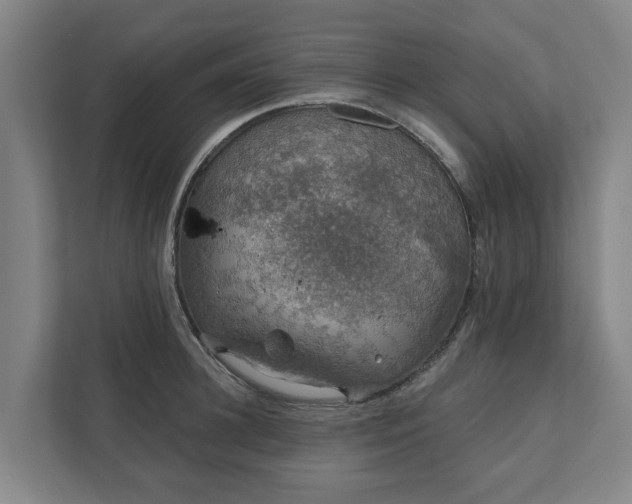 X0000110760948200906221119