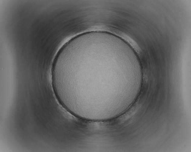 X0000110760950200906221119
