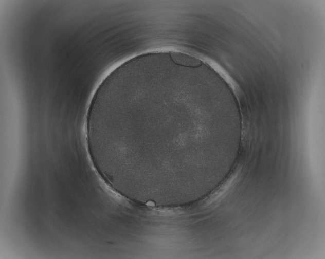X0000110760951200906221119