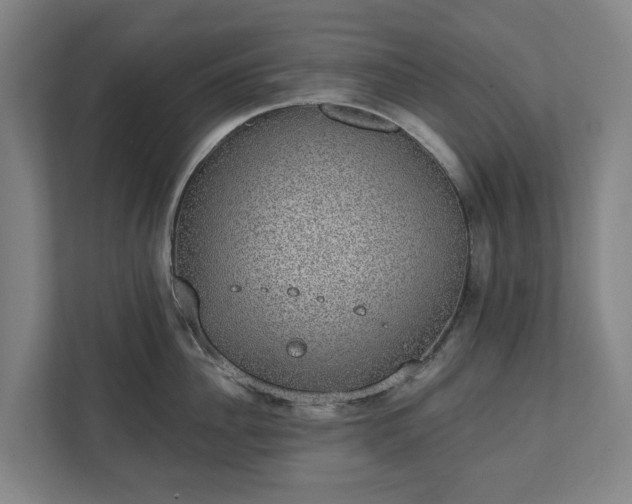 X0000110760956200906221119