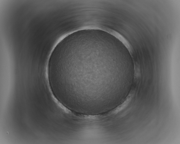 X0000110760958200906221119