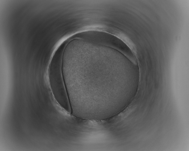 X0000110760960200906221119
