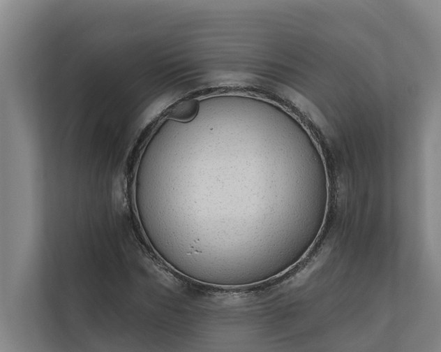 X0000110760970200906221119