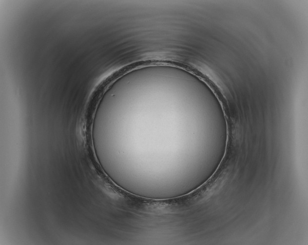 X0000110760971200906221119