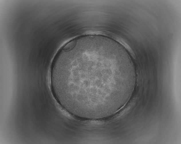 X0000110760984200906221118