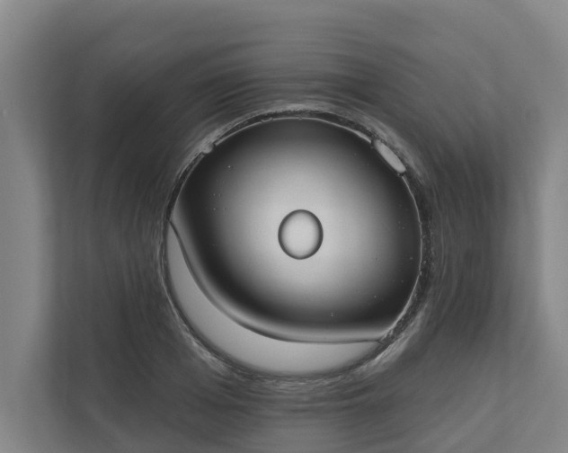 X0000110760985200906221118