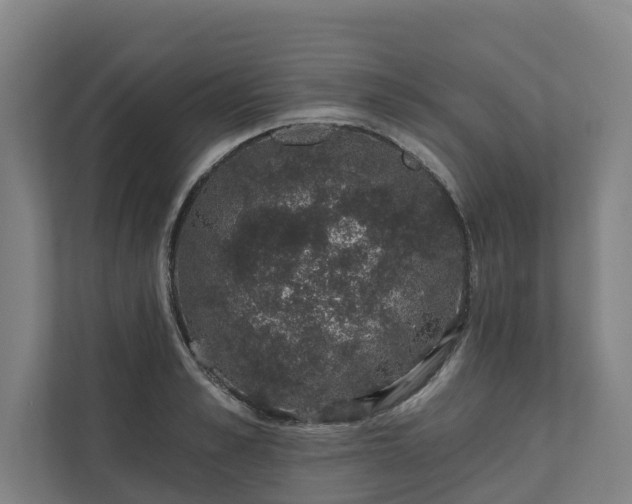 X0000110760989200906221118